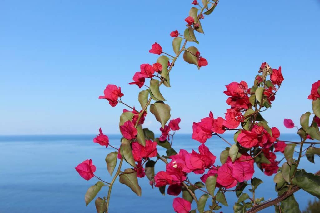 Apartamento Mar Azul Διαμέρισμα Calheta  Εξωτερικό φωτογραφία